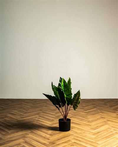 Pennie Τεχνητό Φυτό σε Γλάστρα Κολοκασία Πράσινη 60cm 440002-01