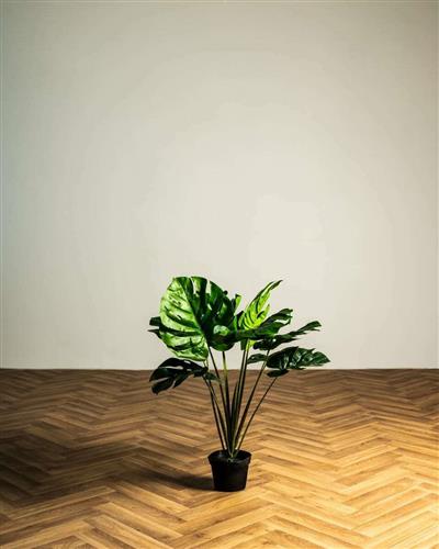 Pennie Τεχνητό Φυτό σε Γλάστρα Μονστέρα Πράσινη 60cm 440003-01