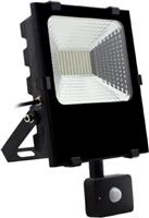 Spotlight Στεγανός Προβολέας LED 30W Θερμό Λευκό 3000K με Αισθητήρα Κίνησης IP65 5440