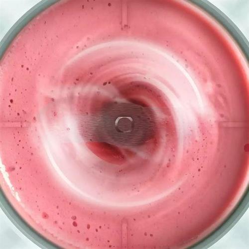 Tefal BL1C0430 Lightmix Μπλέντερ 0.3lt Μέντα