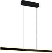 Trio Lighting Arcola Κρεμαστό Φωτιστικό Νίκελ Ράγα 115x150cm 331210132
