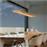 Trio Lighting Brad Μοντέρνο Κρεμαστό Φωτιστικό Ράγα με Ενσωματωμένο LED Καφέ