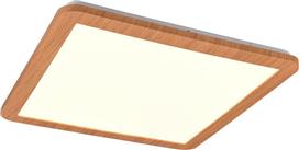 Trio Lighting Camillus Πλαφονιέρα Οροφής σε Καφέ χρώμα R62932035