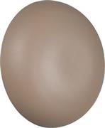 Trio Lighting Davey Μοντέρνο Φωτιστικό Τοίχου Μπεζ R24431143