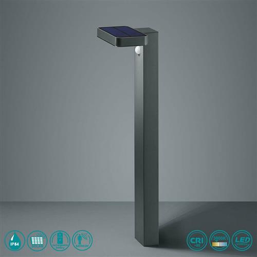 Trio Lighting Esquel Καρφωτό Ηλιακό Φωτιστικό IP44 με Αισθητήρα Φωτός και Θερμό Λευκό Φως Μαύρο R42261142