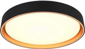 Trio Lighting Felis Πλαστική Πλαφονιέρα Οροφής σε Μαύρο χρώμα R64391080