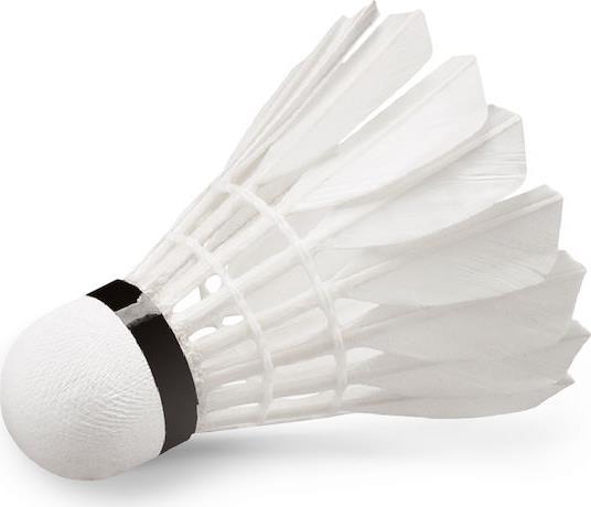 Wish W-09 Φτερά Badminton Σετ 12τμχ 42078